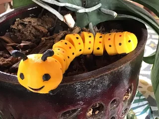 Image for A Cute & Friendly Articulated Caterpillar