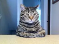 Image for we need to talk...