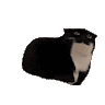 SlayingVR999