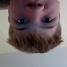 Cayll Lester