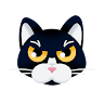 tarinai_YONN