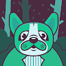 Rooki