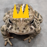 FrogKingC7