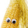 Corn Guy