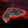 Crimson Cuttlefish