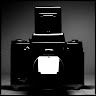 P.Stock creator profile