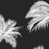 Aiden Rohde