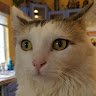 Zephyr