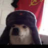 Pou