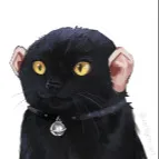 Dapador