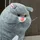 glep
