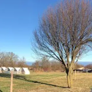 PB&J Acres