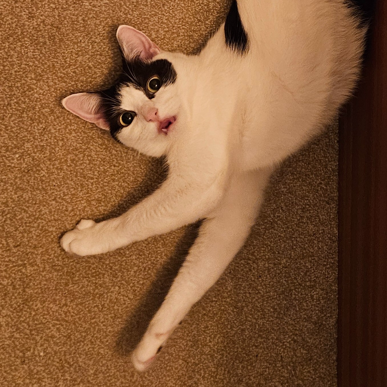 George