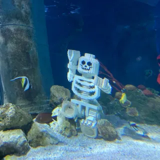 J-D