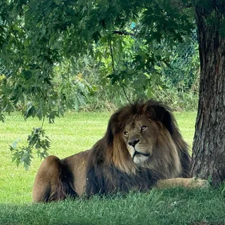 Gurpartap Singh