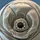 Todd The Tardigrade