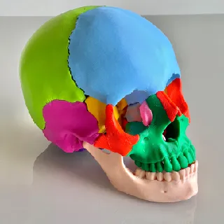 Fheder
