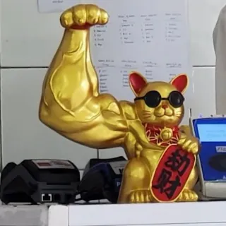 Rock The Shazbot