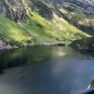 pitronica