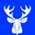 Tolle Moose