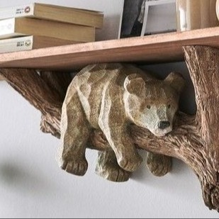 JakeShelf