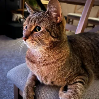 Tom from Prusa Research