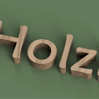Holzi