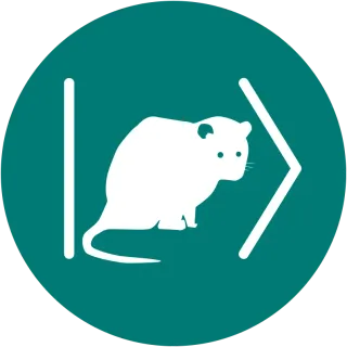 schroedingers possum