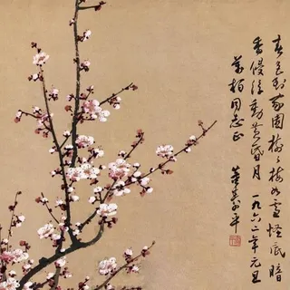Moiko