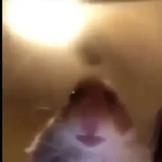 kruxio kruxio