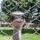Diomar