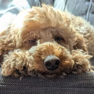 Design•Slice•Print Studio