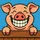 Krister