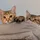 Jay S
