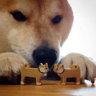 uspeek