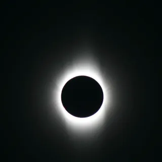 ld40