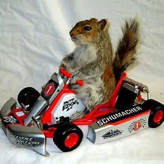 RacingSquirrel