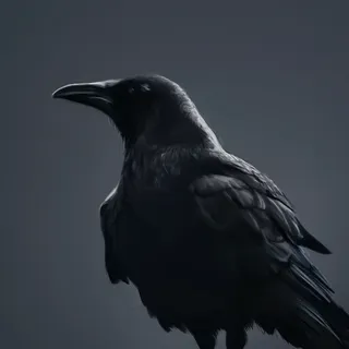 Blackbird