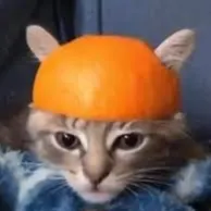 KalooxD