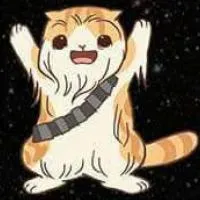 chewbaccat