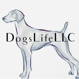 SenatorDLLLC