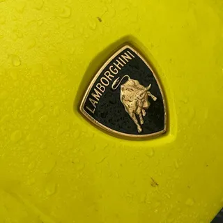 Dan115491