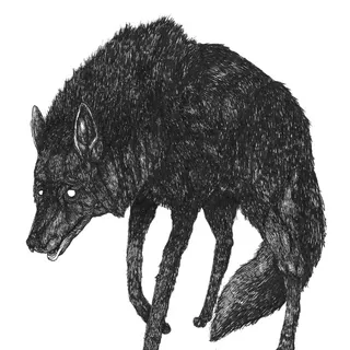 jvolk