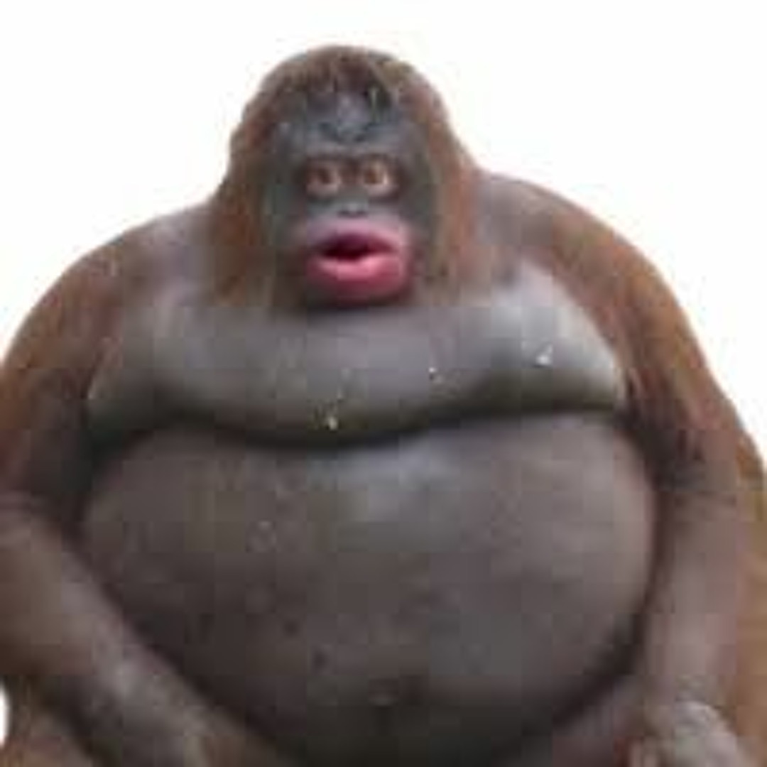 kylewiener6767