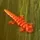 Glizzy_The_Lizard