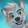sthealthwolf218