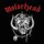 louse_vandeboom