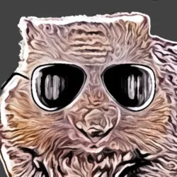 NonchalantWombat