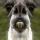 ChildishLlama