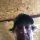Nick_boards